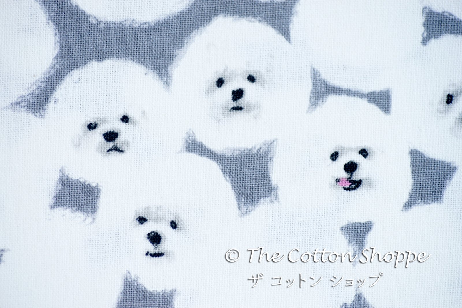Kotorinuno Bichon Pom Poms
