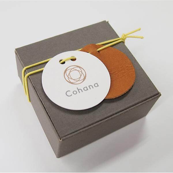 Cohana Nambu Iron Paperweight