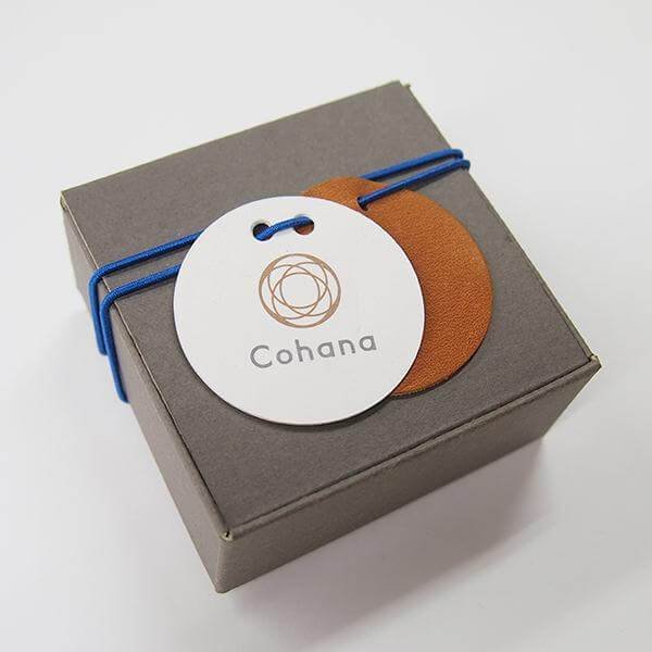 Cohana Nambu Iron Paperweight