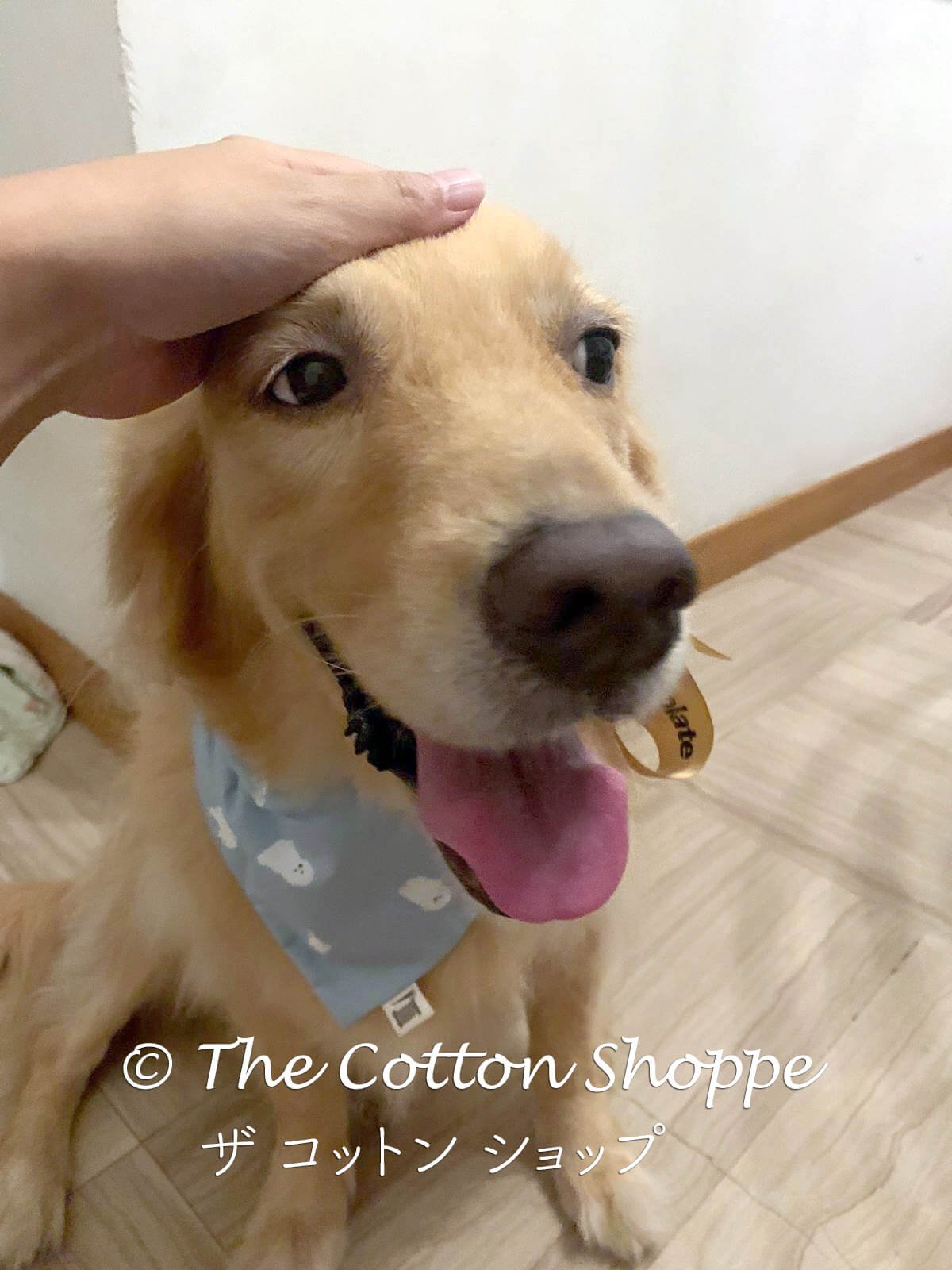 Handmade Over-the-Collar Pet Bandanas