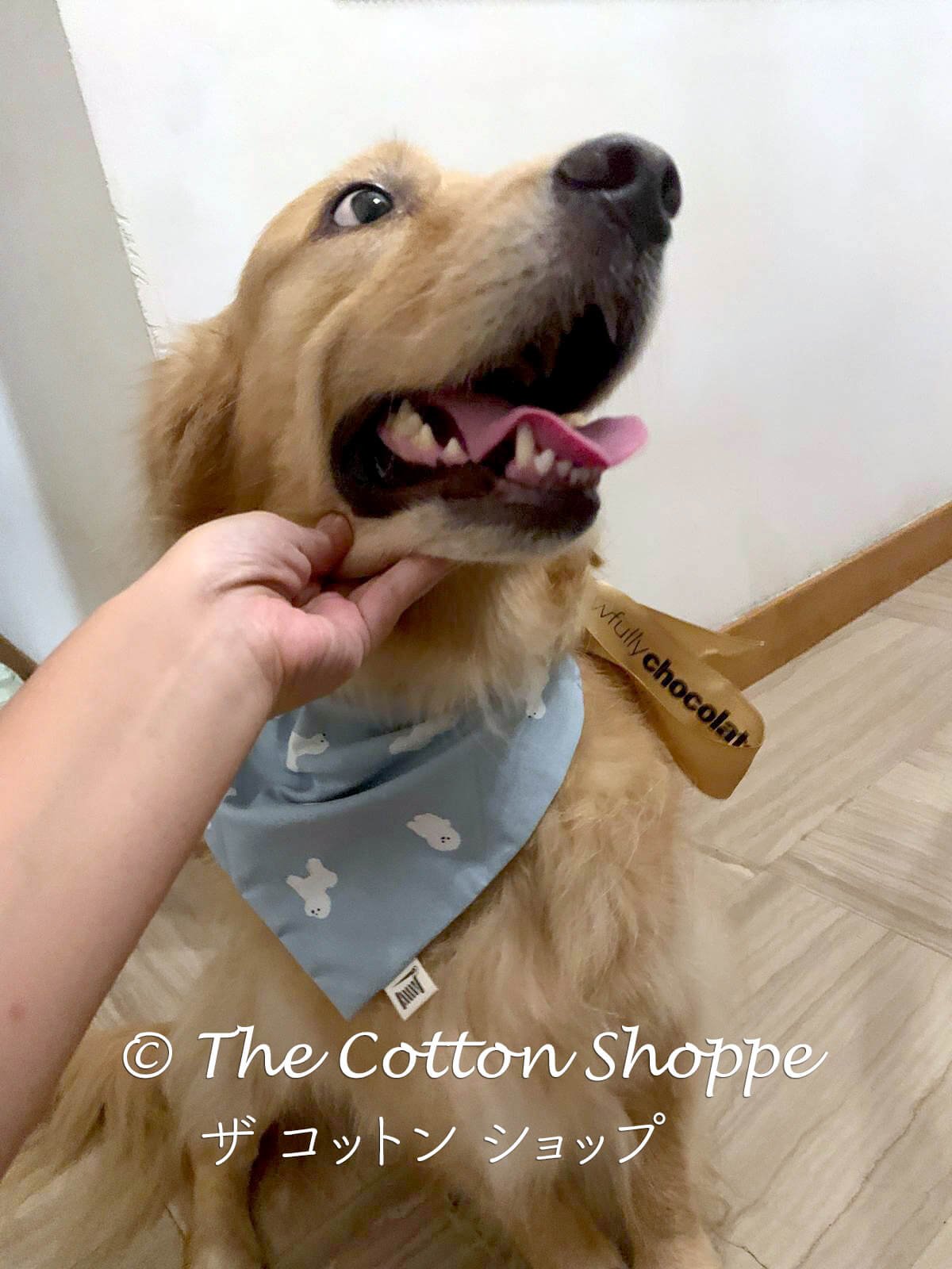 Handmade Over-the-Collar Pet Bandanas