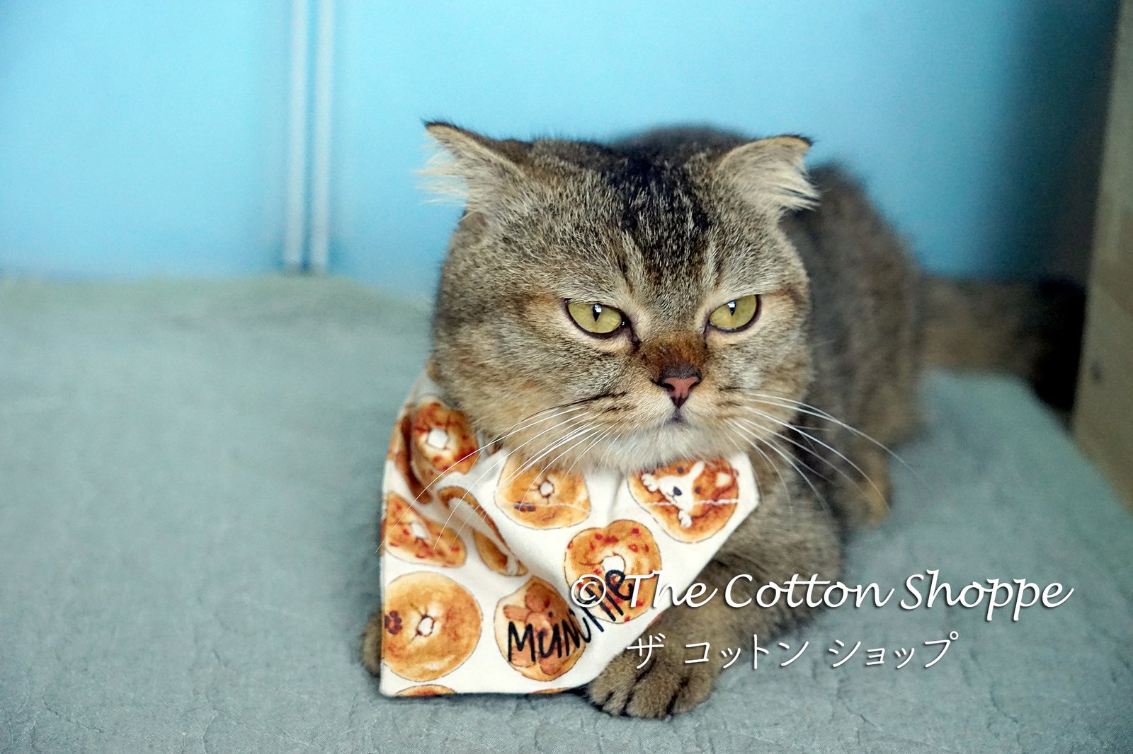 Handmade Over-the-Collar Pet Bandanas