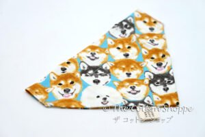 Customised Pet Bandanas