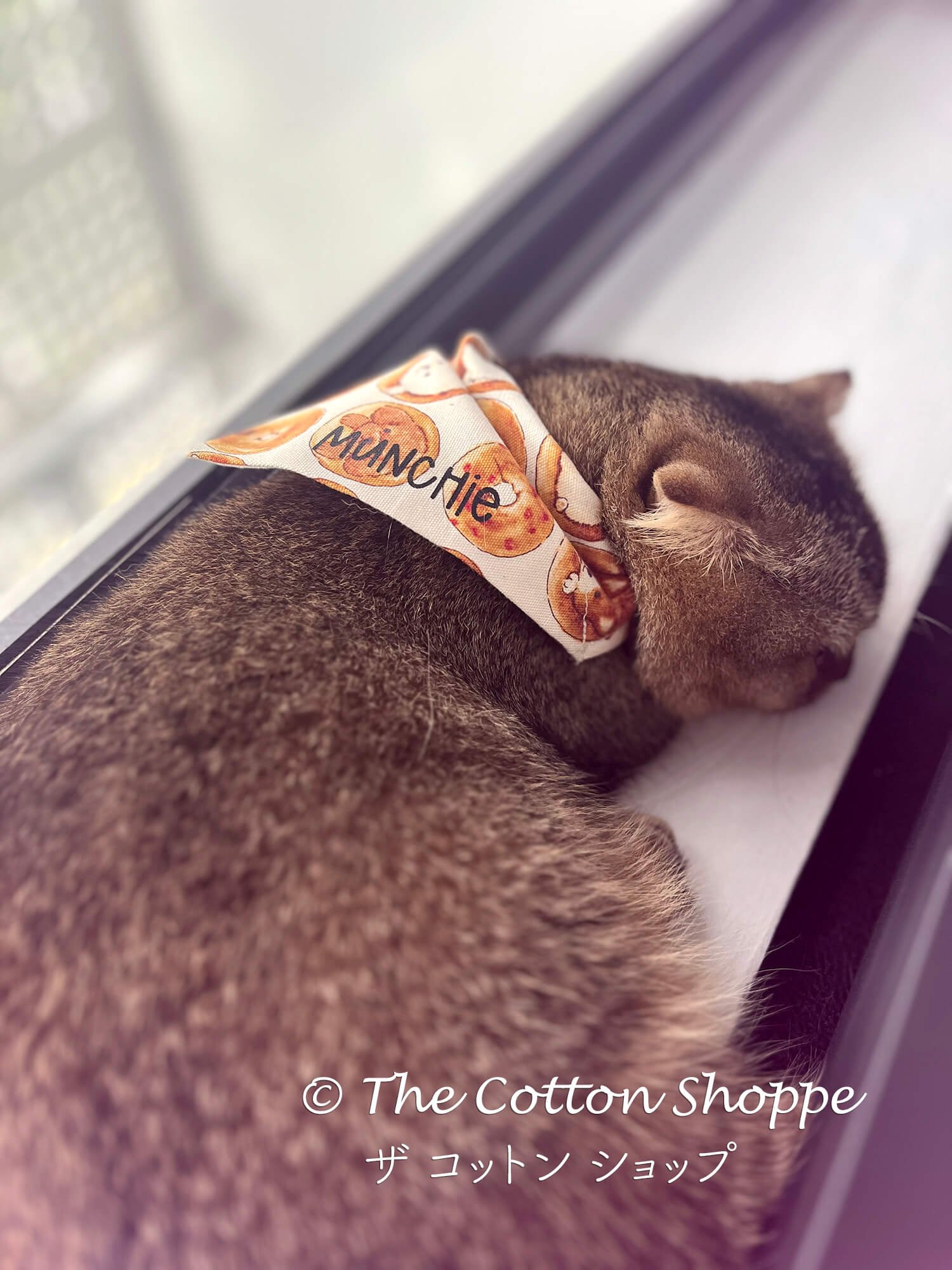 Over-the-Collar Pet Bandanas