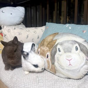 handmade bunny cushion