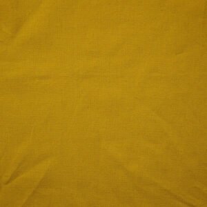 Echino solid canvas