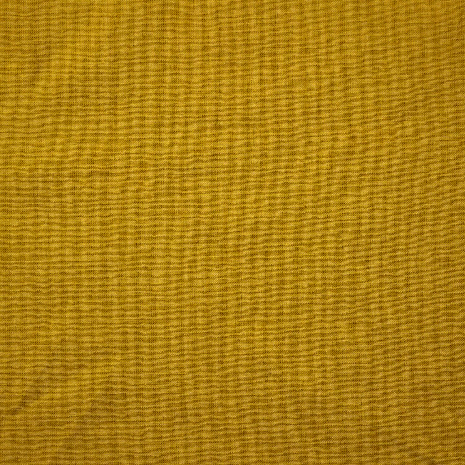 Echino solid canvas