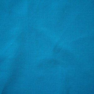 Echino solid canvas