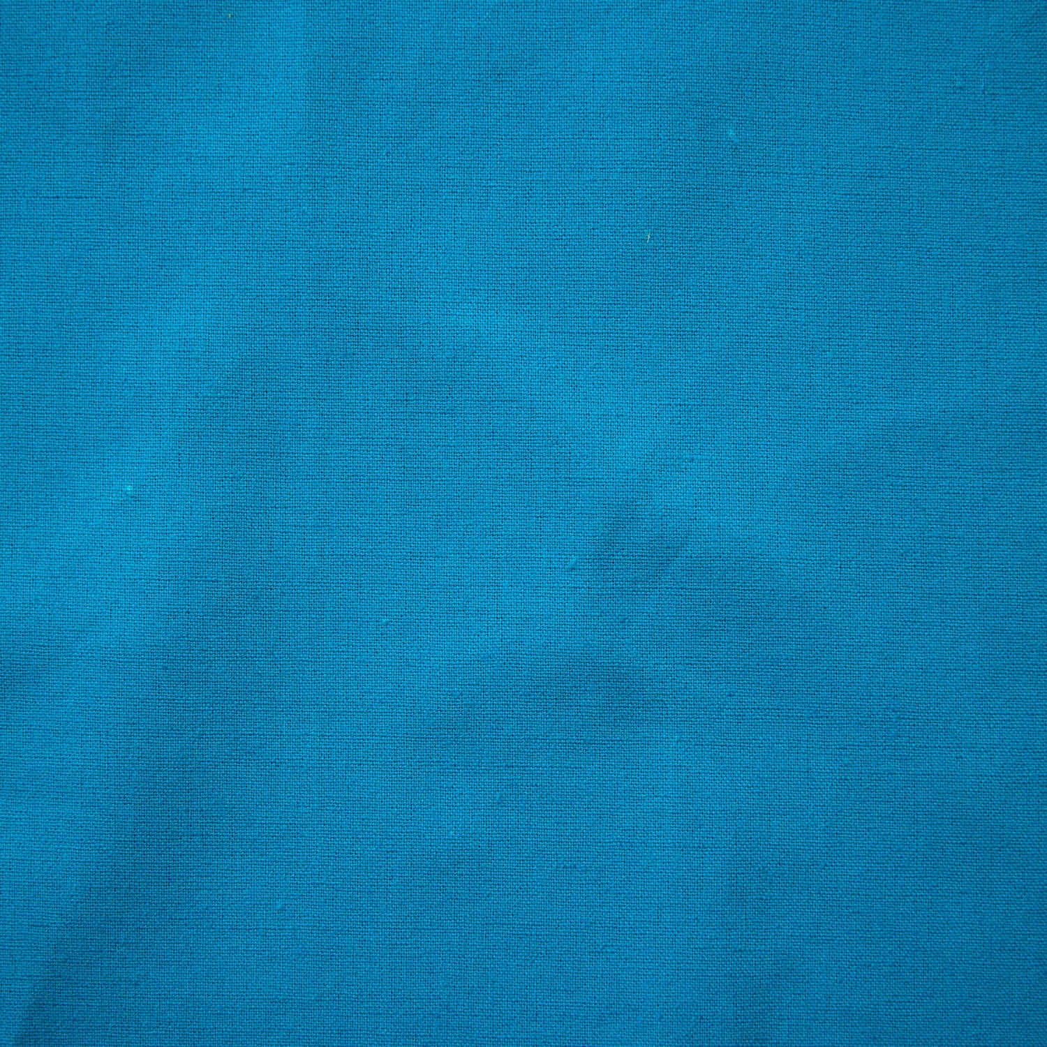 Echino solid canvas