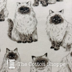 Sevenberry Meow Maine Coon